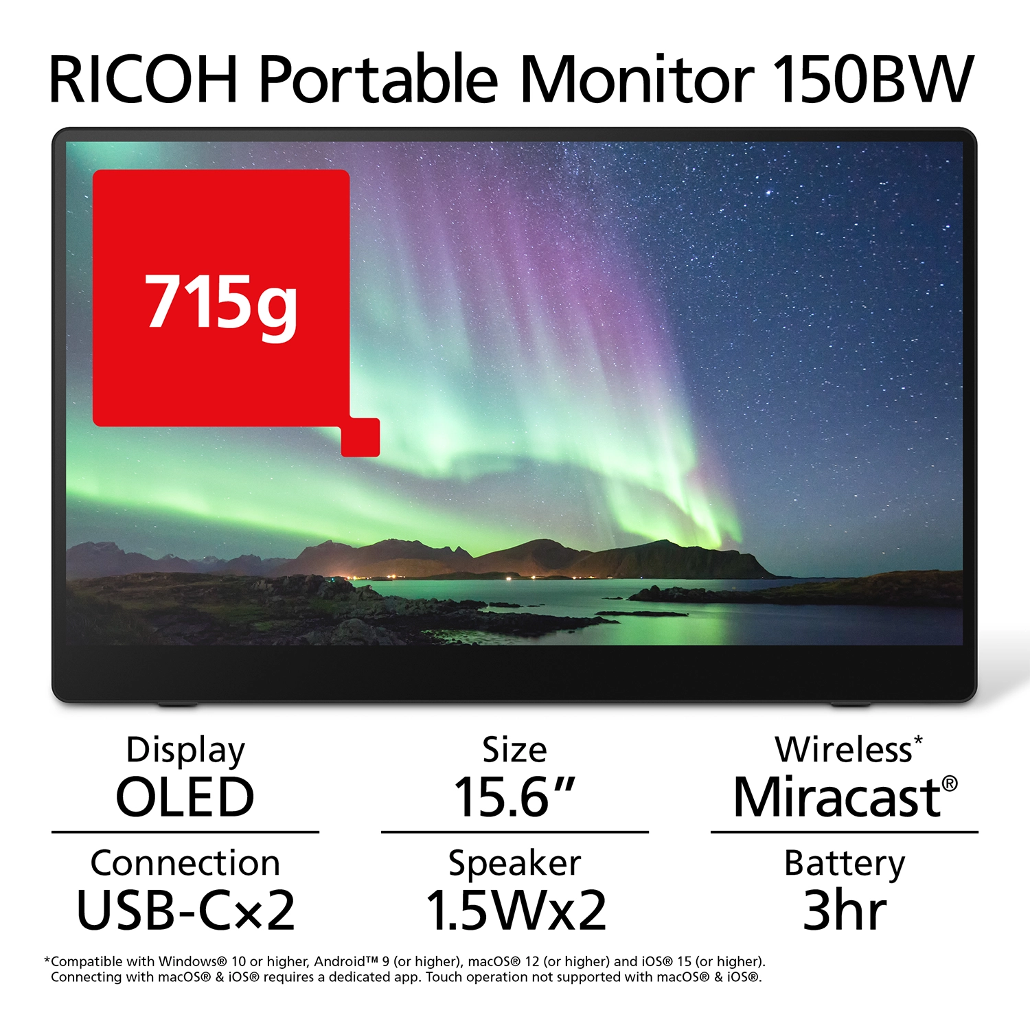 Moniteur portable RICOH 150BW